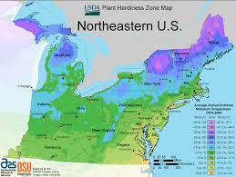 planting zones can vary even in the same latitude based on avg temps this map of ne us is nic growing zones map gardening zone map plant hardiness zone map pinterest