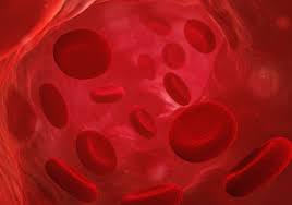 Image result for Blood Doping