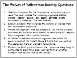 Fill in the blank, criss cross, and word find. Yellowstone Wolves Worksheets Teaching Resources Tpt
