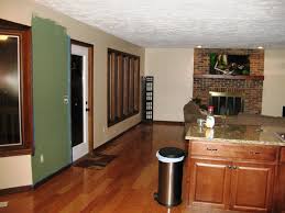 color ideas for kitchen/living room