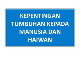 Geografi tingkatan 5 bab 6 (6.2) kegiatan manusia menyebabkan kepupusan tumbuhan dan haiwan liarподробнее. Kepentingan Tumbuh Tumbuhan Science Quiz Quizizz