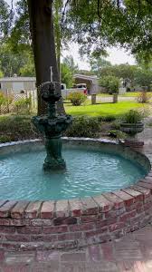 Image result for Lintonia