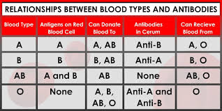 Blood Types Chart Blood Group Details Receive And Donat