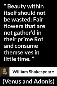 Quotes Williamshakespeare Shakespeare Quotes William Shakespeare Quotes William Shakespeare