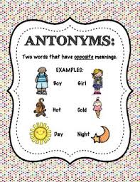 Antonym Anchor Chart