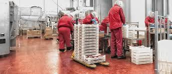Regulile de igienă in industria alimentara impuse lucrătorilor din industria laptelui, fac referire la întreţinerea corpului şi a echipamentelor în stare de curăţenie. Industria AlimentarÄƒ Trotec