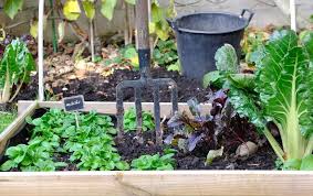 This is article about garten im quadrat inspirierend tunnelbogen groß rating: Gartnern Im Quadrat Reiche Ernte Auf Kleinstem Raum Gartenzauber