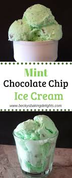 Mint Chocolate Chip Ice Cream Recipe Chocolate Chip Ice Cream Mint Chocolate Chip Ice Cream Ice Cream Maker Recipes