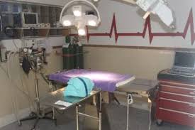 Maybe you would like to learn more about one of these? Veterinary Emergencies In San Diego Ca Turquoise Animal Hospital
