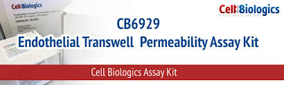 Check spelling or type a new query. Cell Biologics Inc
