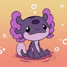 Let's draw one of the variants of axolotl you can find in minecraft. Axolotl Memes Explore Tumblr Posts And Blogs Tumgir