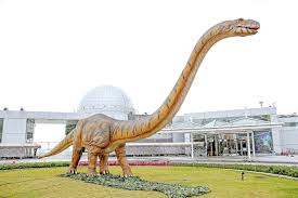 5f 物質科學展示區 物理科學展示區 五樓包含科學遊戲的世界、探索物理世界及探索化學世界等三個展覽區。 科學遊戲的世界展示區位於本館五樓西側展示廳，本區的展覽內容有「力量和運動」，由各種體驗裝置構成。 å'¨ä¸‰é–‹å¹• è­˜éƒæé¾çªè¥²ç§'å­¸é¤¨ æ¾³é–€åŠ›å ±å®˜ç¶²