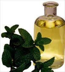 Image result for peppermint oil for hair