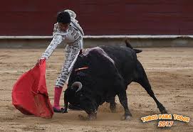 RICARDO RIVERA TOROS PARA... - Temporada Toros para Todos | Facebook