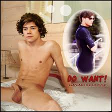 One Direction + Harry Styles Nude Fake + General Thoughts + Go VOTE! -  Celebrity Fakes Porn