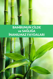 Bambu Mucizevi Etkileri Ile Hem Cildimiz Hem De Sagligimiz Icin Oldukca Etkili Bir Bitki Natural Magic Beauty Nature