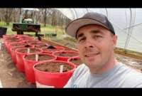 container planting Archives