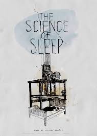 Science Of Sleep Poster Polish Poster Film Poster Design Poster