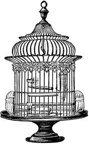 Free Vintage Bird Cage Clip Art Oh So Nifty Vintage Graphics Clip Art Vintage Vintage Bird Cage Vintage Birds