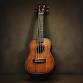 November Pre-Thanksgiving Ukulele Jam! event image