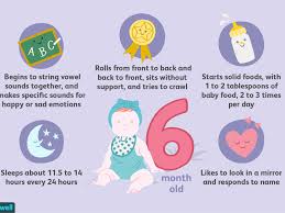 Your 6 Month Old Baby Development Milestones