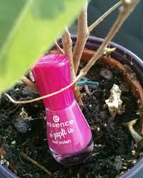 Sie wünschen sich, den nagellack schneller trocknen zu können, haben aber schon alle hausmittelchen ausprobiert? Nagellack Richtig Auftragen Und Schneller Trocknen