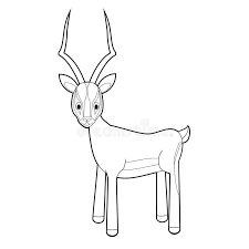 Maybe you would like to learn more about one of these? Easy Coloring Animals For Kids Impala Stock Vector Illustration Of Animal Africa 121303106
