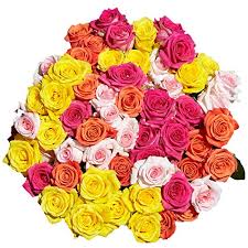 Maybe you would like to learn more about one of these? 50 Assorted Roses 2 Beautiful Colors Fresh Cut Flowers Beautiful Gift Delivery Friday July 16 Buy Online In Madagascar At Madagascar Desertcart Com Productid 42371752