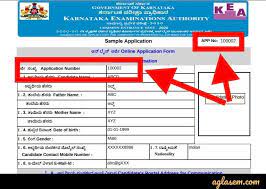 The earlier kcet 2021 exam date has been postponed by the conducting authorities of the karnataka examination board on may 12, 2021. Kcet 2021 Admit Card Release Date 11 August Likely Download Hall Ticket
