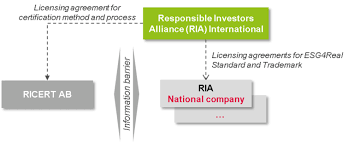 organisation and governance ria international