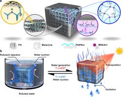 Water is a small molecule that easily diffuses through a cell membrane despite the lipid tails. Plant Leaves Inspired Sunlight Driven Purifier For High Efficiency Clean Water Production Nature Communications