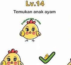 Brain out 111 induk ayam hilang lagi. Ini Kunci Jawaban Temukan Anak Ayam Brain Out On The Level 14 Tujuwan Com