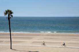 Fire pit folding 23 fire pits outdoor wood burning portable patio steel fire bowl fireplace with mesh spark screen cover poker bbq grill bonfire for beach yard camping picnic pool party winter heater. Dockweiler Beach In Los Angeles Enjoy A Thrilling Beach Experience Go Guides