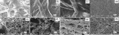 We did not find results for: Scanning Electron Microscope Images Of Different Types Of Papers Used Download Scientific Diagram