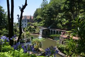 Sehenswerte gärten und parks auf madeira. Madeira Das Botanische Paradies Mit Atlantikblick Vivanty Entertainment Lifestyle Vivanty Die Pure Lust Am Leben