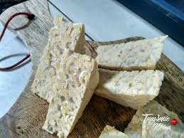 Tempeh Food Fermentation Tempeh