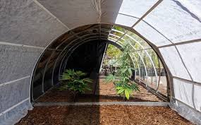 Greenhouse Light Deprivation In 2021 Greenhouse Info