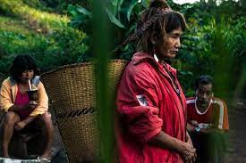 Mbyá guaraní entries, or entries in other languages containing mbyá guaraní terms, that are being tracked for attention and improvement by editors. Os Guarani Mbya Apresenta Fotografias De Aldeias Indigenas Do Estado Gzh