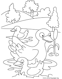 Probably duck coloring pages, bunny coloring pages, easter eggs, lilies and other spring coloring pages. Coloring Pages Of Ducks Coloring Home