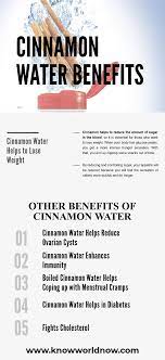 Cinnamon honey water recipe a honey and cinnamon drink is relatively easy to make as it does not involve an elaborate process or method of preparation. 11 Benefits Of Drinking Cinnamon Water Know World Now Cinnamon Water Benefits Water Benefits Cinnamon Water