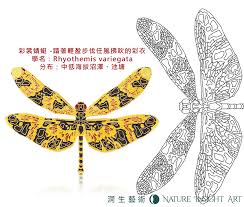 彩裳蜻蜓 踏著輕盈步伐任風拂吹的彩衣 昆蟲精品胸章第一彈 nature art