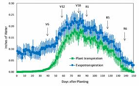 Corn Water Use And Evapotranspiration Integrated Crop