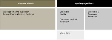 Our services and products range from active pharmaceutical ingredients to drinking water sanitizers. Management And Company Structure Annual Report 2018