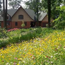 Shop perennial flower seeds and plants from the most trusted name in home gardening. All Perennial Wildflower Seed Mix American Meadows