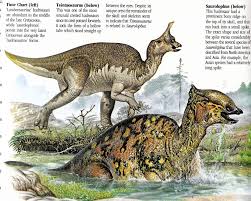 Love In The Time Of Chasmosaurs Vintage Dinosaur Art I Can T Believe It S Yet More The Illustrated Encyclopedia Of Dinosaur Art Dinosaur Prehistoric Animals