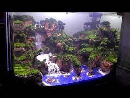 Aquascape Air Terjun Telaga Warna Youtube Aquascape Aquarium Fish Tank Fish Tank Themes