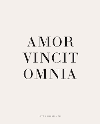 Every day we present the best quotes! Pin By Jane On Quotes Latin Love Quotes Phrase Tattoos Latin Quotes