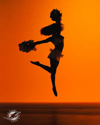 Miami Dolphins Cheerleaders (@dolphinscheer) - Instagram