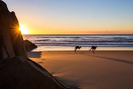 Little Bay Nsw By Lina Hayes Photography Australia Beach Australian Beach Australian Travel