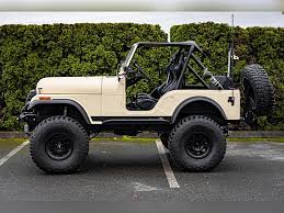 Image result for Beige Sand 1982 Fleet